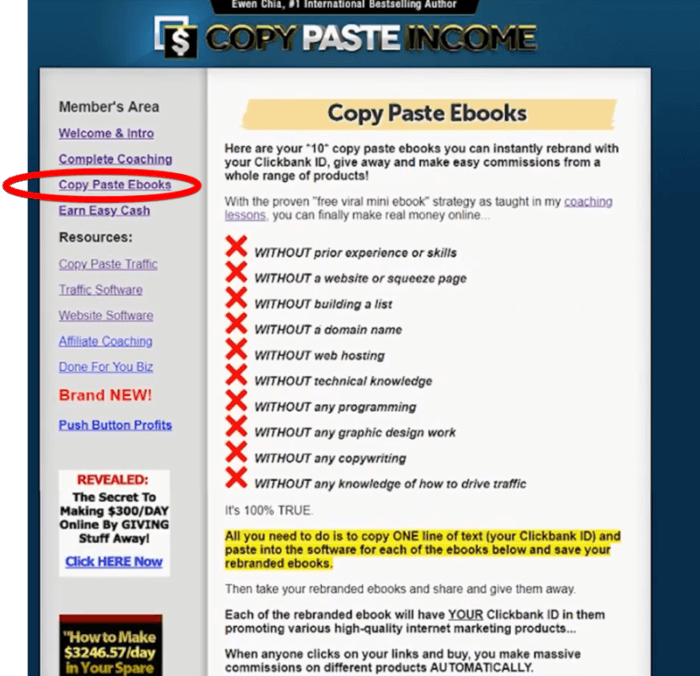 What Is Copy Paste Income