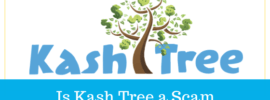Is Kash Tree a Scam