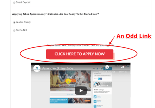 AOJ Work From Home Job Review