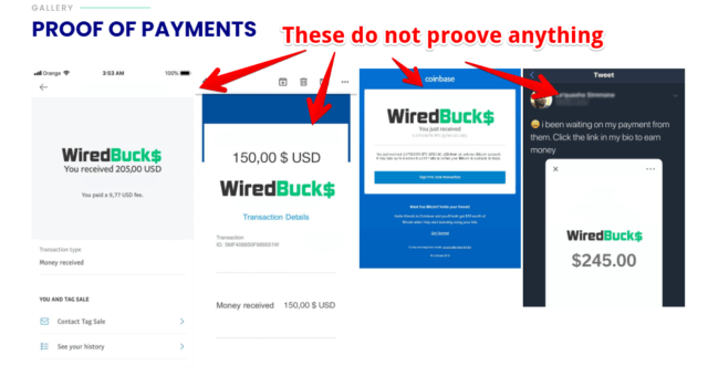 What is WiredBucks - Dashboard - WiredBucks