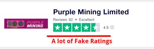 Purple Mining Review