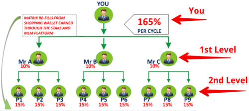 Is StakeXChain a Scam