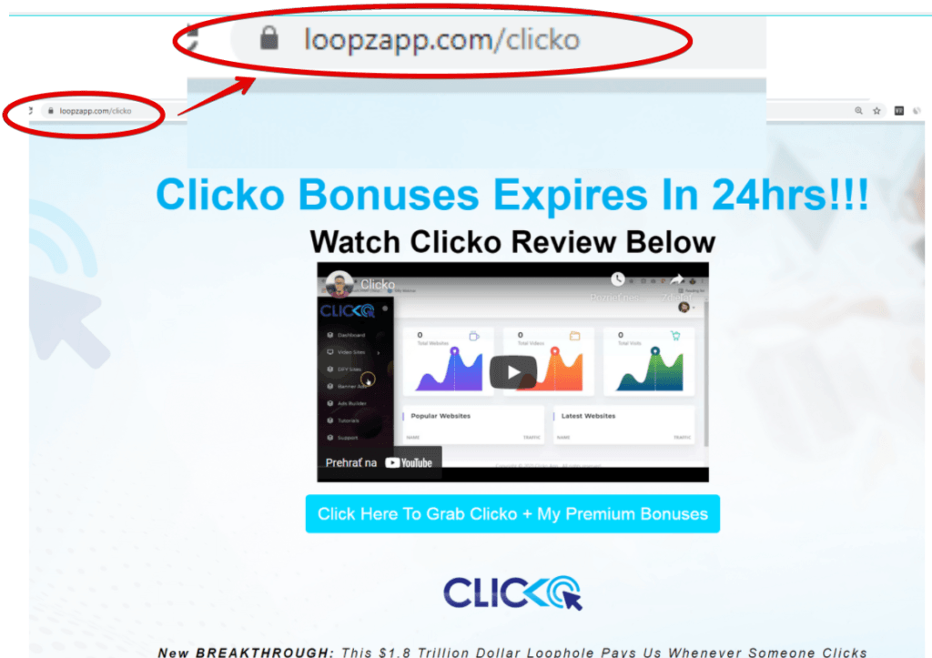 Loopz Review (A Get-Rich-Quick Scheme or Anther Scam?)