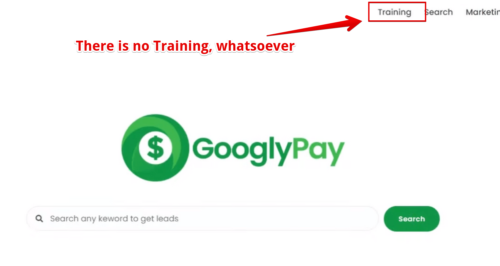 GooglyPay Review