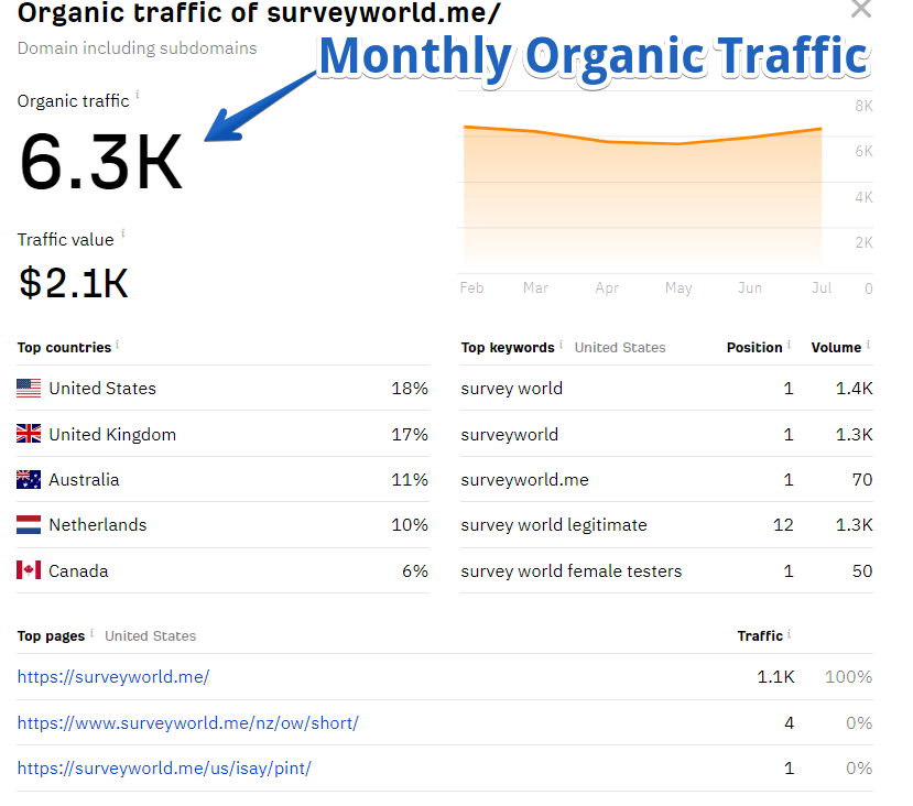 SurveyWorld - Website Traffic Checker