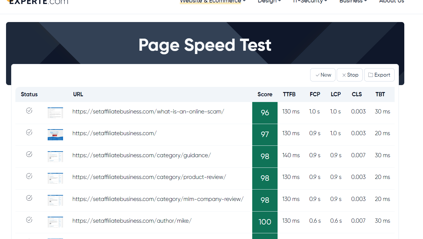 Experte Check PageSpeed - sever URLs