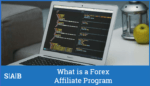 What is a Forex Affiliate Program